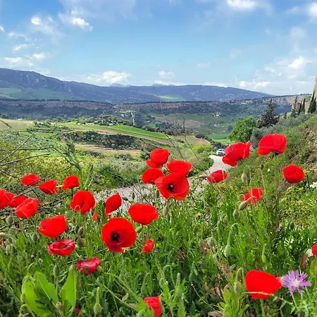 Appartamento Casa Del Arco Ronda