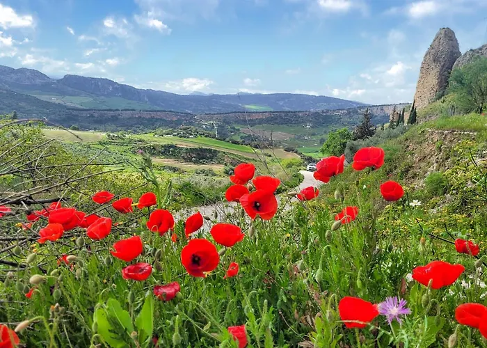 Apartment Casa Del Arco Ronda
